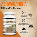 Ashwagandha Maximum Strength - 3 Pack Bundle, 180 Vegetarian Capsules, Stress & Cortisol Support, Vegan | Organic Wellness Hub