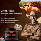 Vital Bull Male Performance Organ Complex | Testosterone Support, Stamina & Hormonal Balance | 60 Capsules ? Organic Wellness Hub