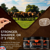 Vital Bull Male Performance Organ Complex | Testosterone Support, Stamina & Hormonal Balance | 60 Capsules ? Organic Wellness Hub