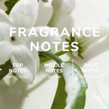 KOEC Heavy Cream Hair & Body Fragrance Mist | Organic Wellness Hub USA