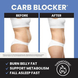 Sleep + Burn 3-Pack Bundle — Premium Night Time Fat Burner | 180 Capsules | Best Value | Organic Wellness Hub