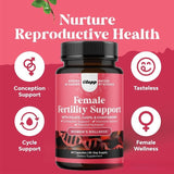 Female Fertility Support Supplement – Folate, CoQ10 & Chasteberry | Organic Wellness Hub
