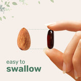 Organic Pumpkin Seed Oil Softgels 3000mg - Cold Pressed Virgin 2-in-1 Formula with Saw Palmetto | 300 Capsules | GMO-Free, Gluten-Free, Lab Tested | Organic Wellness Hub