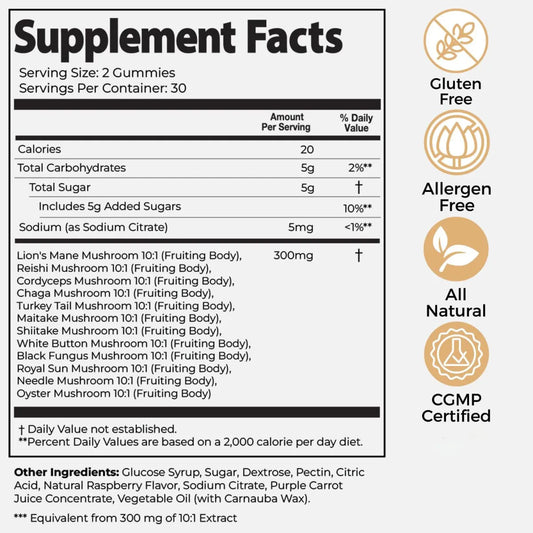 Mushroom Daily Gummies 3-Pack – 3000mg Functional Mushrooms for Brain, Immunity, Energy, Focus & Mood | Wild Raspberry | Organic Wellness Hub