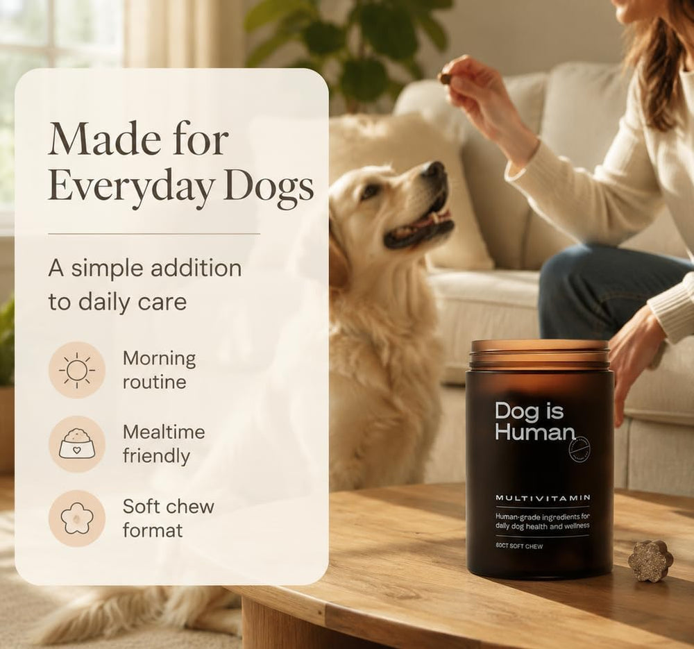 Dog Is Human Multivitamin Soft Chews for Dogs | 60 Count Daily Wellness Supplement | Organic Wellness Hub