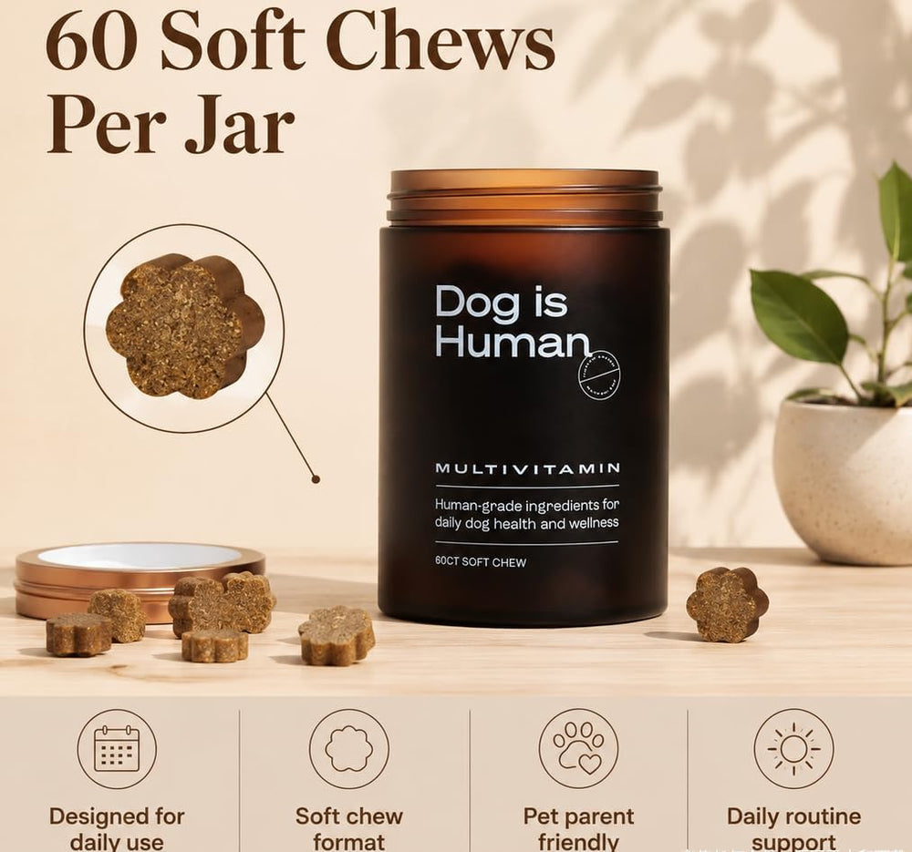 Dog Is Human Multivitamin Soft Chews for Dogs | 60 Count Daily Wellness Supplement | Organic Wellness Hub