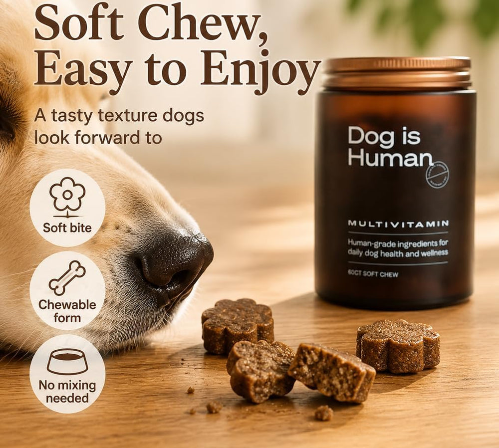 Dog Is Human Multivitamin Soft Chews for Dogs | 60 Count Daily Wellness Supplement | Organic Wellness Hub