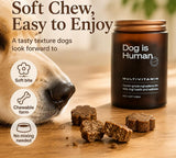 Dog Is Human Multivitamin Soft Chews for Dogs | 60 Count Daily Wellness Supplement | Organic Wellness Hub