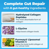 Happy Mammoth Complete Gut Repair - Vanilla Bean | Gut Health Supplement | Leaky Gut, Microbiome Balance & Easy Digestion | Lab Tested | 360g | Organic Wellness Hub