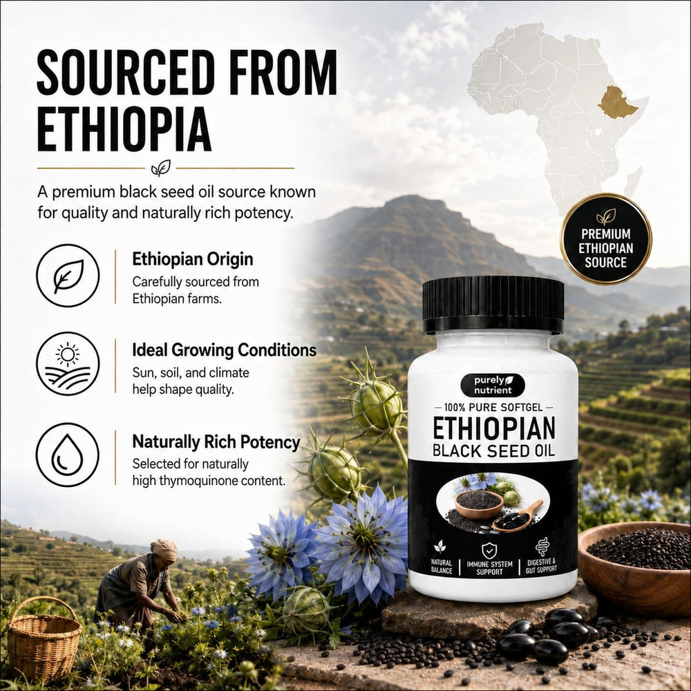 Purely Nutrient Ethiopian Black Seed Oil Softgels | 100% Pure Nigella Sativa | Thymoquinone