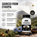 Purely Nutrient Ethiopian Black Seed Oil Softgels 3-Pack | 100% Pure Nigella Sativa | 180 Softgels