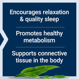Life Extension Glycine 1000mg 3-Pack, Amino Acid for Healthy Sleep, 300 Vegetarian Capsules - Organic Wellness Hub