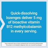 Life Extension Vitamin B12 Methylcobalamin 5mg - 60 Vegetarian Lozenges | Bioactive B12 Supplement - Organic Wellness Hub