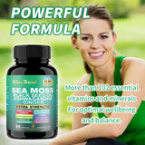 WinsTown Sea Moss 16-in-1 Supplement ? Black Seed Oil, Ashwagandha, Ginger, Burdock Root, Turmeric, Bladderwrack & More | 102+ Vitamins & Minerals | Extra Strength | 60 Capsules