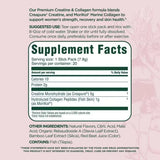 FleXi Creatine & Collagen Stick Packs | 3-Pack Bundle | Creapure® + MoriKol® | Hawaiian Pineapple Punch | Skin, Joints & Muscle Strength – Organic Wellness Hub