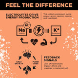 LMNT Electrolyte Drink Mix Grapefruit Salt 4x30 Stick Packs | 1000mg Sodium | No Sugar | Lab Tested | Organic Wellness Hub