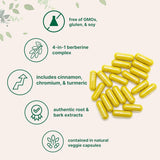 Micro Ingredients Berberine with Ceylon Cinnamon, Chromium & Turmeric - 240 Vegetarian Capsules | Premium Blood Sugar & Metabolism Support Supplement