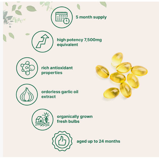 Odorless Aged Garlic Extract | 300 Softgels | Heart Health, Immunity & Antioxidant Support | GMO Free, Gluten Free, Lab Tested | Organic Wellness Hub