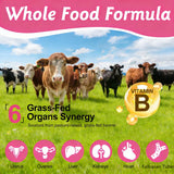 Prime Beef Organ Supplement Capsules | Grass-Fed & Pasture-Raised Beef Organs | 60 Capsules | Lab Tested | Organic Wellness Hub