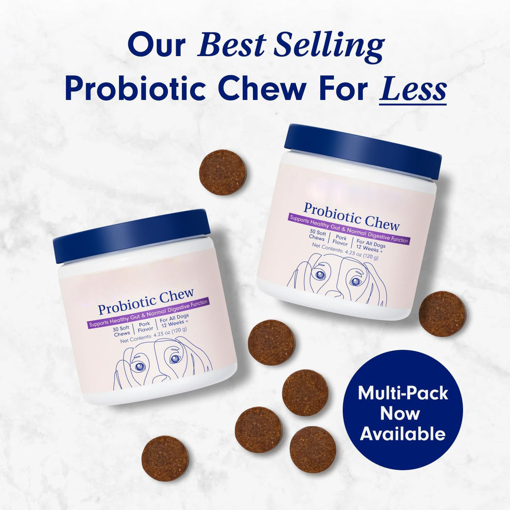 Probiotic Chews for Dogs - Gut Health Soft Chews | Organic Wellness Hub
