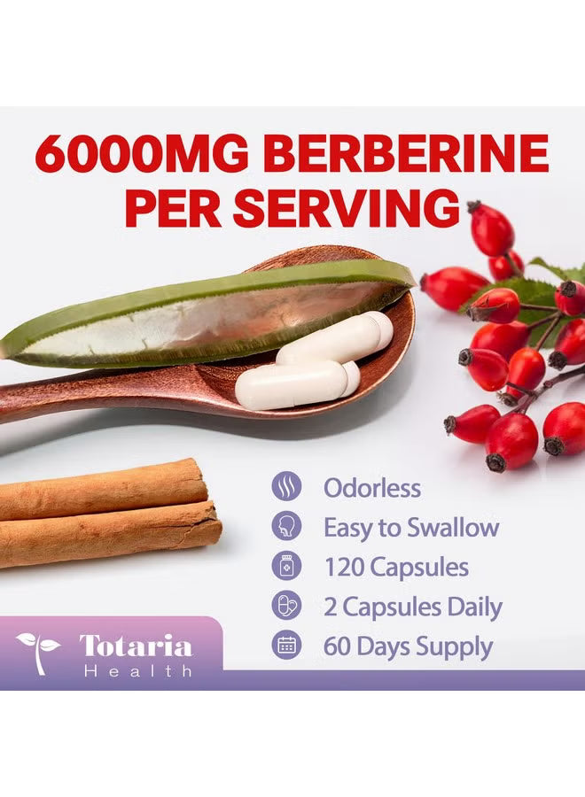 Totaria Health Berberine 27-in-1 with Ceylon Cinnamon & Milk Thistle – Liver & Gut Health Support | 120 Capsules | Organic Wellness Hub
