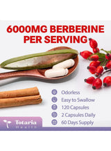 Totaria Health Berberine 27-in-1 with Ceylon Cinnamon & Milk Thistle – Liver & Gut Health Support | 120 Capsules | Organic Wellness Hub