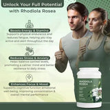 3-Pack Rhodiola Rosea 500mg | Stress, Clarity & Energy Bundle – 180 Vegan Capsules