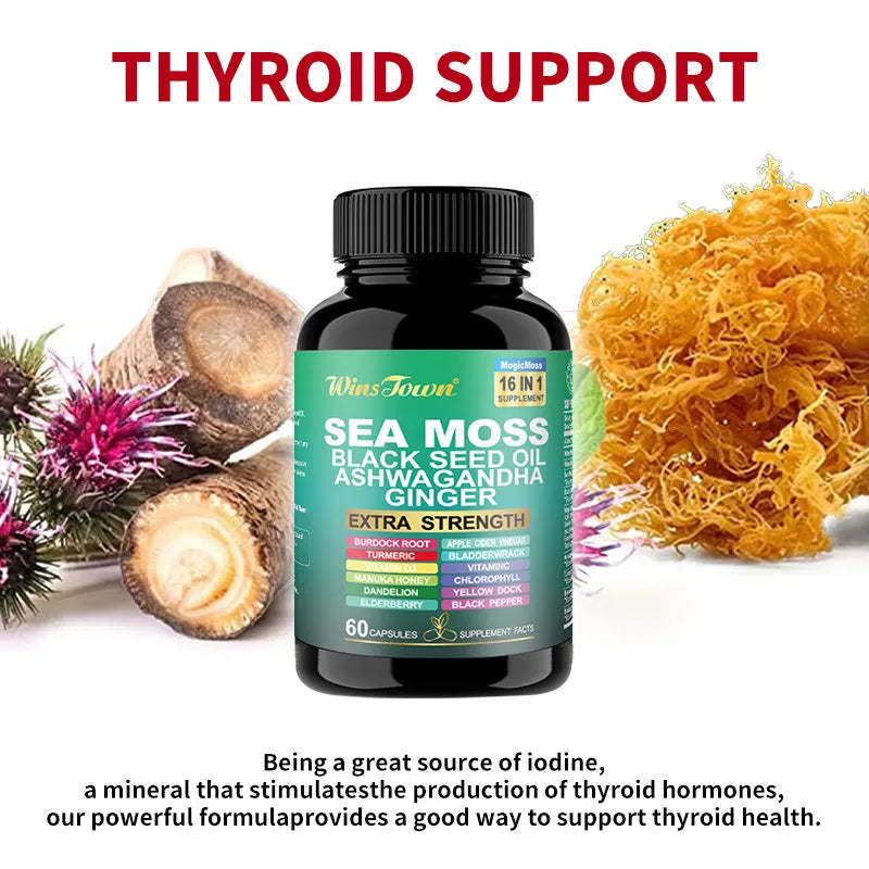 3 Pack WinsTown Sea Moss 16-in-1 Supplement – Black Seed Oil, Ashwagandha, Ginger, Burdock Root, Turmeric & More | 3 x 60 Capsules | 180 Caps Total | Extra Strength 102+ Minerals