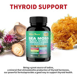 3 Pack WinsTown Sea Moss 16-in-1 Supplement – Black Seed Oil, Ashwagandha, Ginger, Burdock Root, Turmeric & More | 3 x 60 Capsules | 180 Caps Total | Extra Strength 102+ Minerals