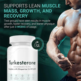 Turkesterone 500mg | Standardized to 20% with Bioperine & HP-CD | Natural Muscle, Strength & Performance Supplement | 3rd Party Tested | Organic Wellness Hub