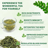 Jiaoming Moringa Leaf Tea Bags 20 Pack | Natural Vegan GMO-Free Herbal Supplement Tea for Energy, Detox & Immune Support