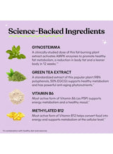 Lemme Burn - Metabolism & AMPK Activator | Green Tea + B Vitamins | 60 Vegan Capsules